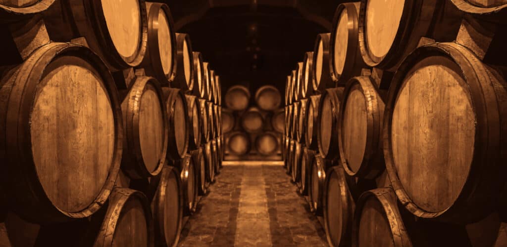 Ben en Sander door Frankrijk