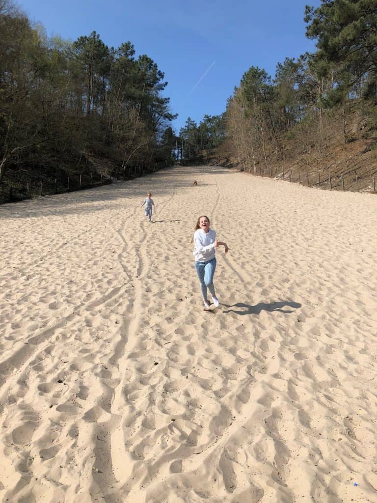 Climbing dune Schoorl