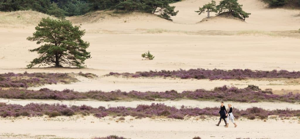 Met de camper op avontuur in Gelderland