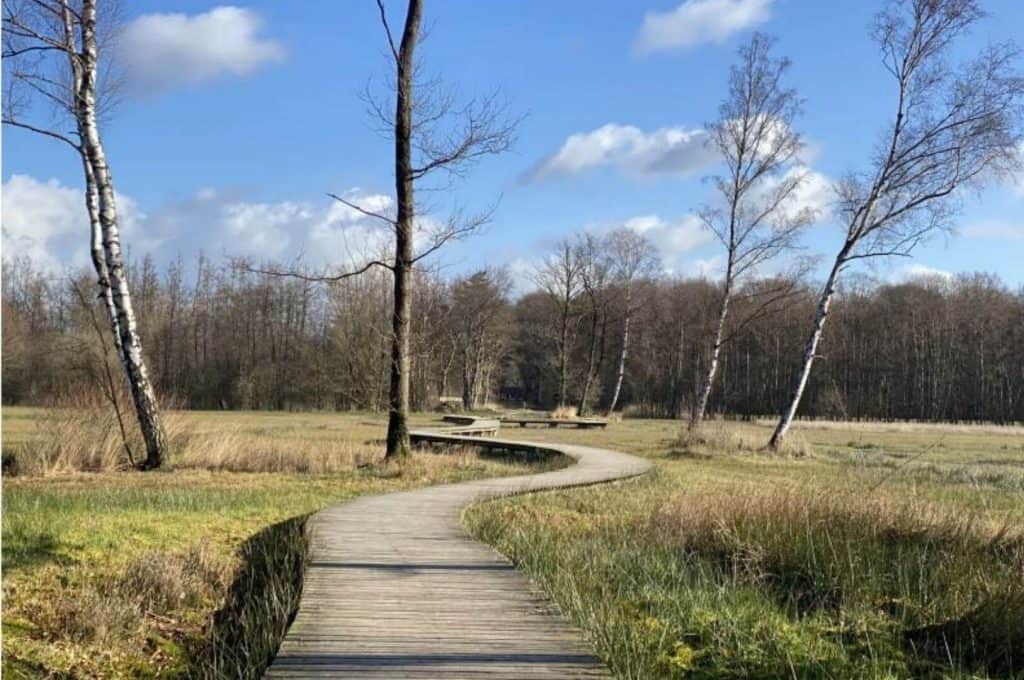 With the camper on an adventure in Gelderland