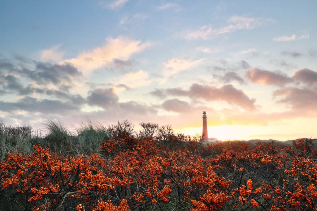 Lang weekend Schiermonnikoog